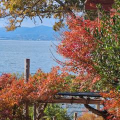 Chalet Mizugahama User Photo