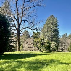 SkyHigh Mount Dandenong User Photo