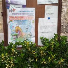 Gelateria Dondoli張用戶圖片