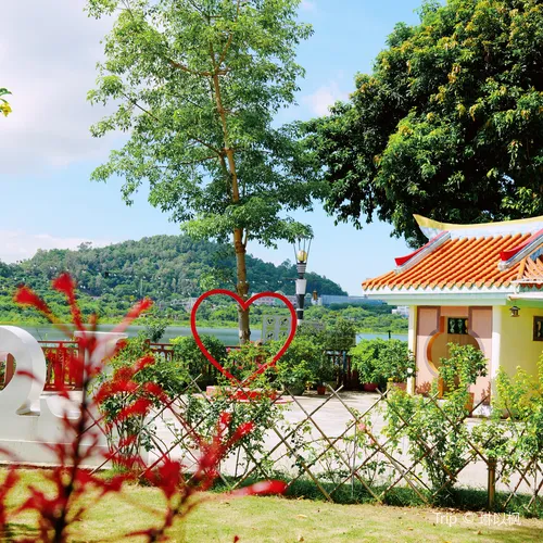 Lixin Lakeside Peninsula Flower Sea