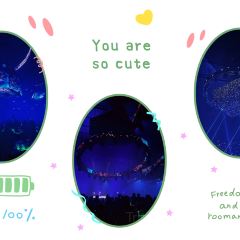 NEON DANCE User Photo