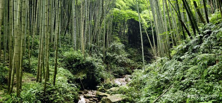 柒月麓山