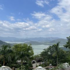 半浮生茶院 User Photo