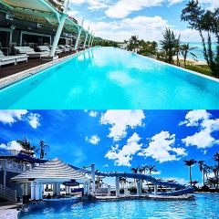 Ohas cafe (Kensington) User Photo