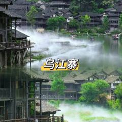 炎黃茶館張用戶圖片