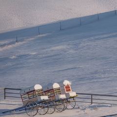 黑山头 User Photo