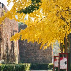 麥當勞（常州西瀛裡店）張用戶圖片