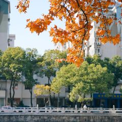 麥當勞（常州西瀛裡店）張用戶圖片