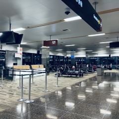 Dish D'lish User Photo