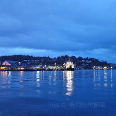 Oban Seafood Hut.. (Green Shack) User Photo