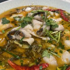 WU ZHUANG ZHU User Photo