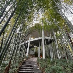 竹香居賓館張用戶圖片