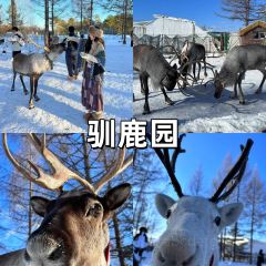 雪乡纳山纳雪酒店·中餐厅 User Photo