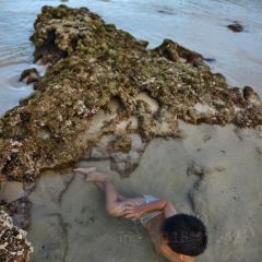 Niang re qiao wei guan User Photo