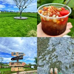 云里小坐·海泉湾·团建·聚会·下午茶(金堂海泉湾店) User Photo