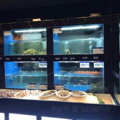 新安人家 User Photo