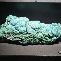 安吉自然博物院自然体验餐厅 User Photo
