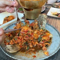 Mango Tree User Photo