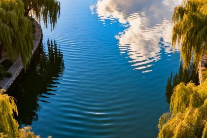 兴盛德花生老店(中山路店)