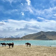 MUYUN  RESTAURANT User Photo