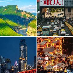 Yu Wei Ice Powder and Ice Dumpling Restaurant (Dajing Lane Branch) User Photo