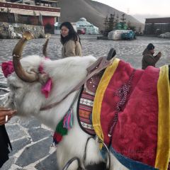 天山天池民俗风情园 User Photo