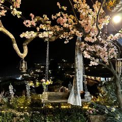 幽兰落 User Photo