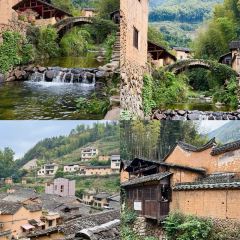 飞茑集樢咖啡 User Photo