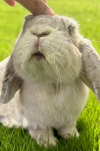 M13520**** 青城山六善酒店優惠