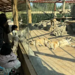 A HUA NONG ZHUANG User Photo