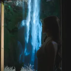 翁布悬崖瀑布咖啡 User Photo