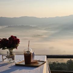 Magic Mountain Cafe User Photo