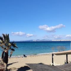 The Greco's Project User Photo