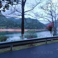 山里人家(童东线店) User Photo