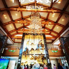 平常心农家院(四季童话店) 여행 사진