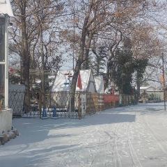 东篱山庄 User Photo