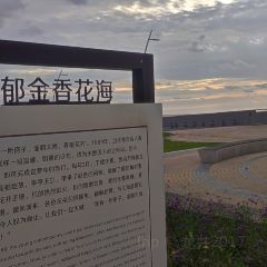 海上明月大酒店 User Photo