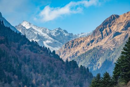 绵虒老陈记豆腐庄