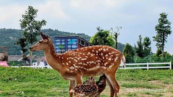 Маленький городок Сюй Цуй