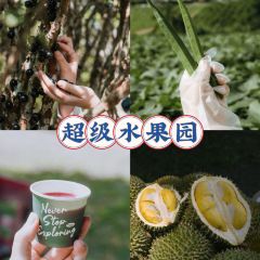 Dai Tao Lala Pot User Photo