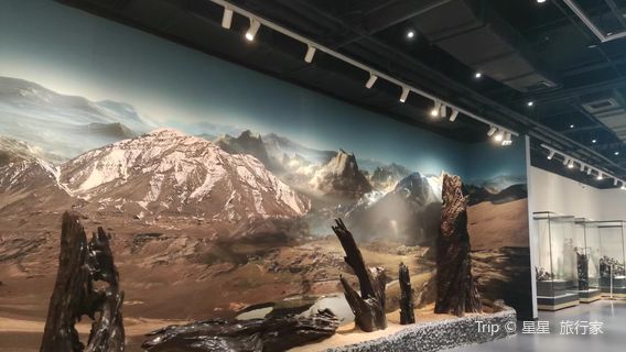 Huaxia Shenmu Museum