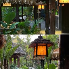 勐丽梦兰傣味餐厅 User Photo
