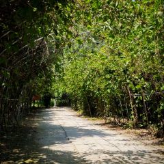 獨一處草堂張用戶圖片