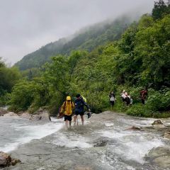 狮子口(河洑店) User Photo