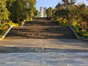 Jingdong Kongqueshan Forest Park