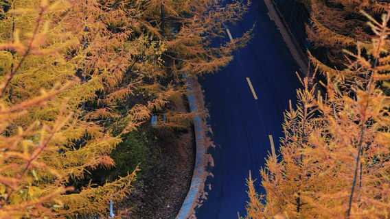 Hualongshan Nature Reserve