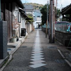 Irori Beniya User Photo