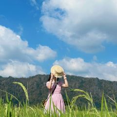 Warung Tepi Sawah 2769 User Photo