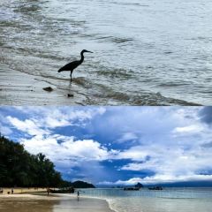 เกาะไหงแคมป์ปิ้งซีฟู้ด KOH NGAI CAMPING SEAFOOD User Photo