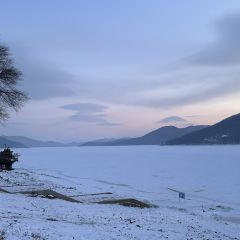 金秋鱼餐馆 User Photo
